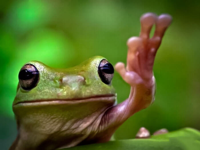 MENDOZA: CONFERENCIA GRATUITA sobre Remedios Ancestrales y su aplicación moderna – 11 de Julio 2019 en Godoy Cruz,&nbsp;Mendoza.