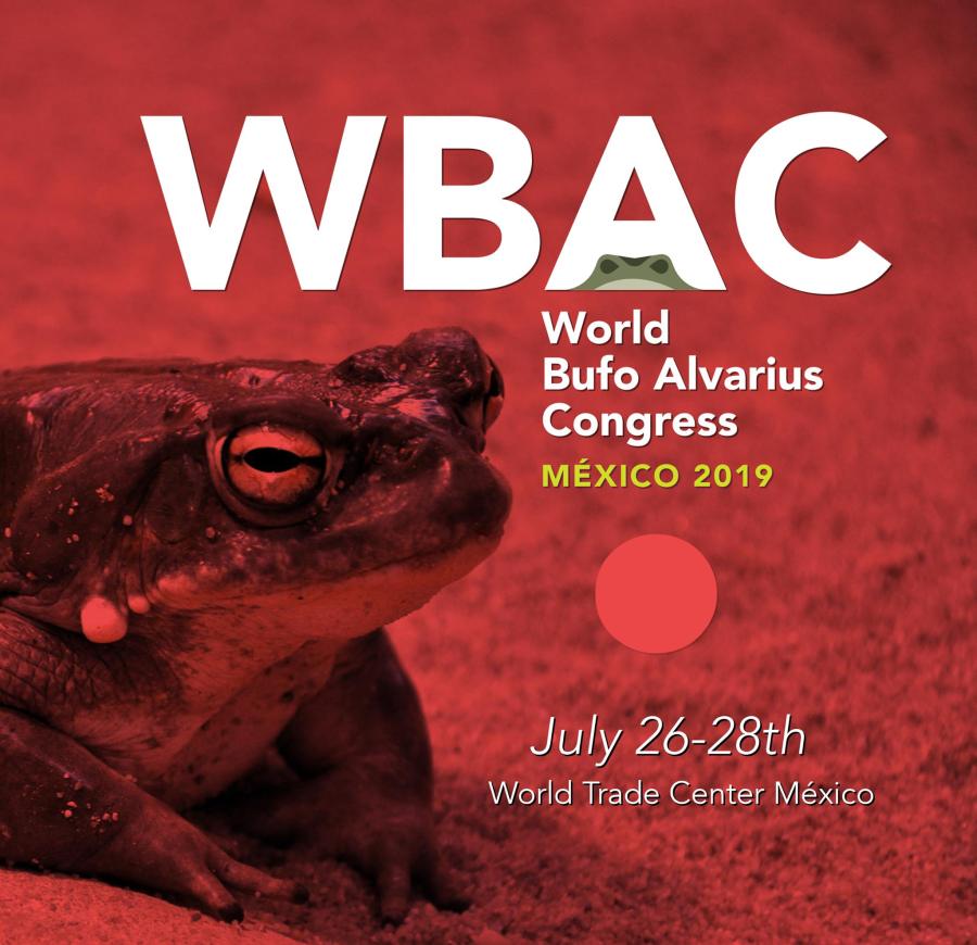 Ya se viene el Congreso Internacional de Bufo&nbsp;Alvarius